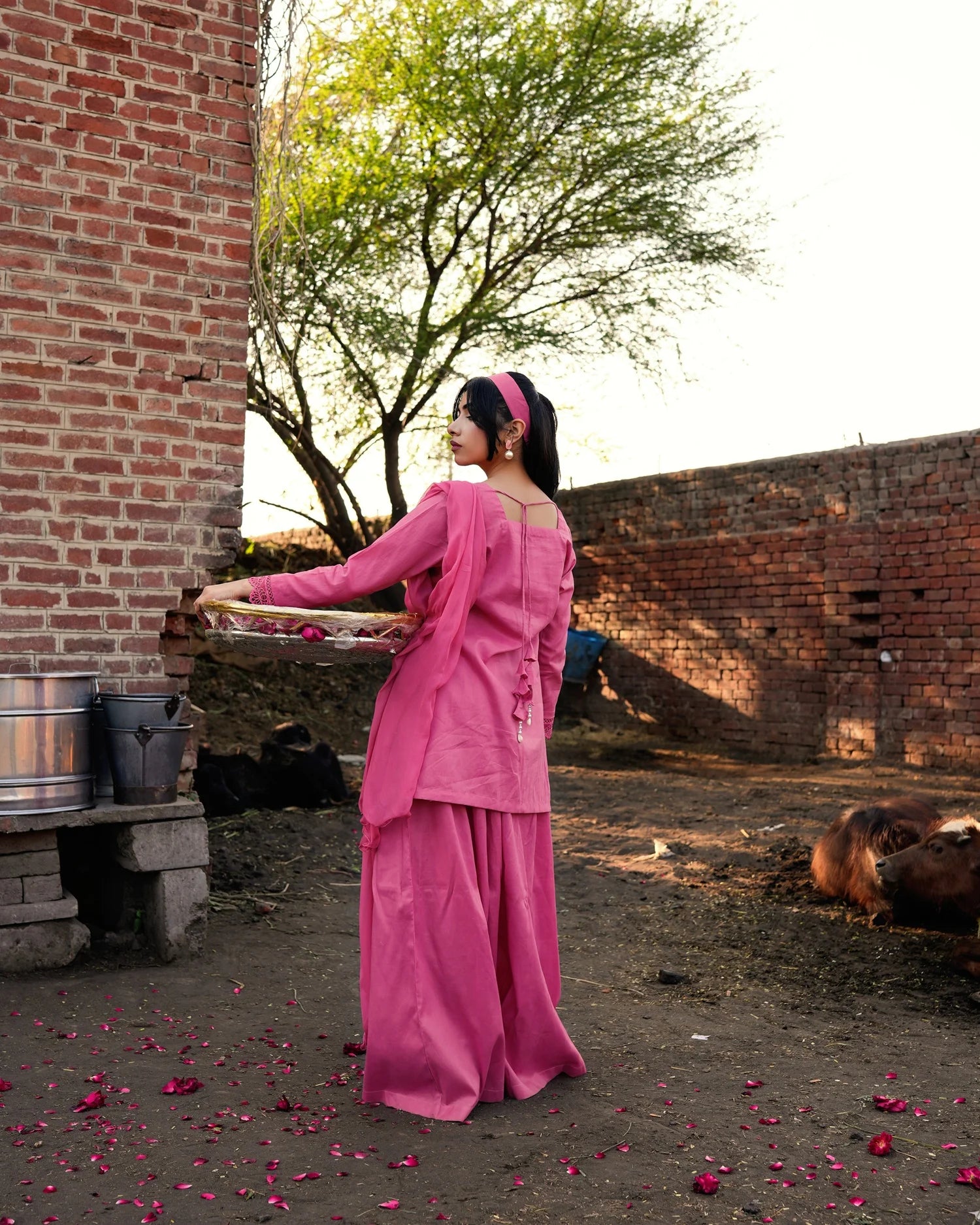 Tea Pink Cotton Short Shirt Set with Flared Palazzo
